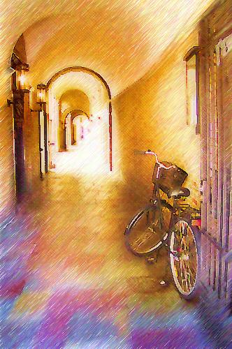 Copenhagen Hallway & Bike