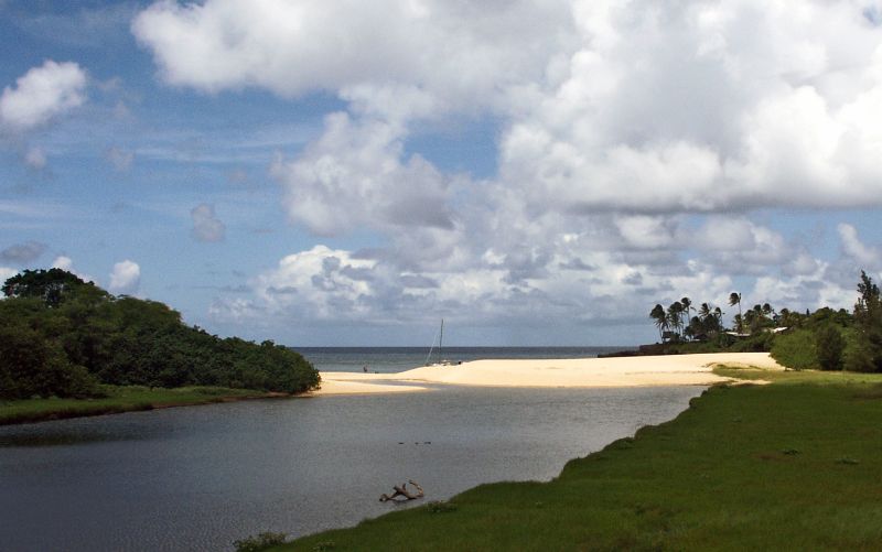 Weimea Bay(Oahu)
