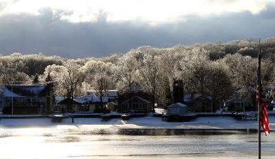 Ice on the trees - across the lake