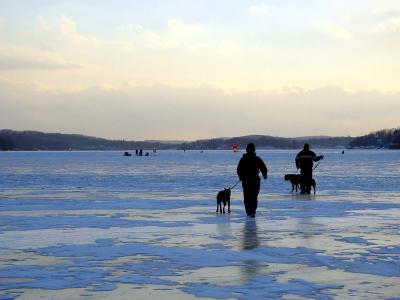 dogs on Ice.jpg