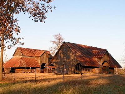 Same barns in the fall