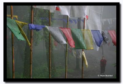 Beneath the Prayer Flags, Gangtok