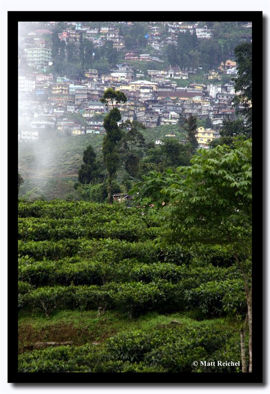 Classic Darjeeling Scene