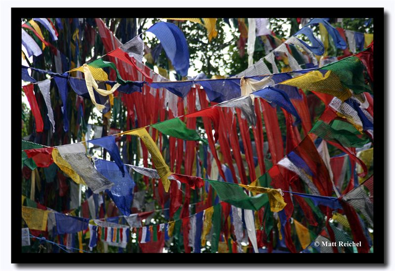 Prayer Flags at Observatory Hill, Darjeeling
