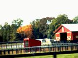 A blur in passing.jpg(193)