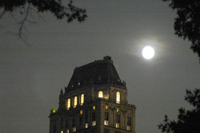 Gotham Moon