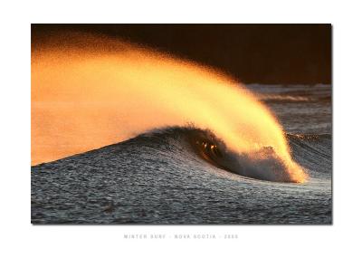 Winter Waves