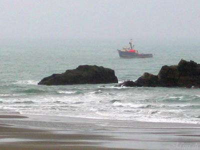 Rainy Crabbing Along Shore (02-06-05)