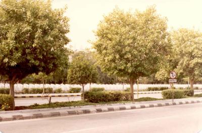 u37/ngruev/medium/23952960.City_st_6.jpg