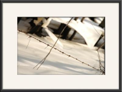barbed-ice_8893.jpg