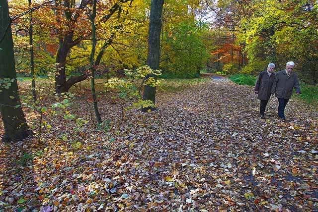 Autumn 2003 in Amsterdam
