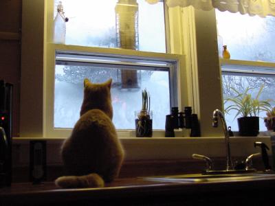 6dec03-1.jpg