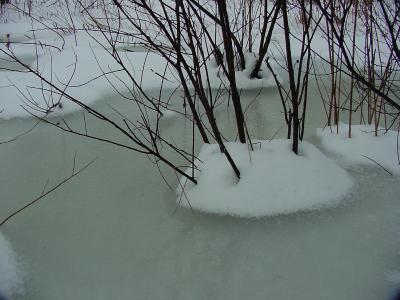 17dec03-1.jpg