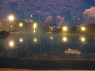DSCN0169.jpg