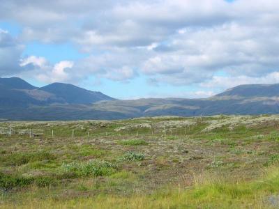 DSCN0254.jpg