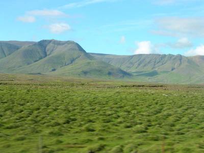 DSCN0287.jpg