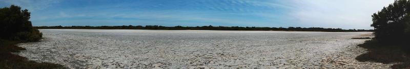 Coorong Landscape