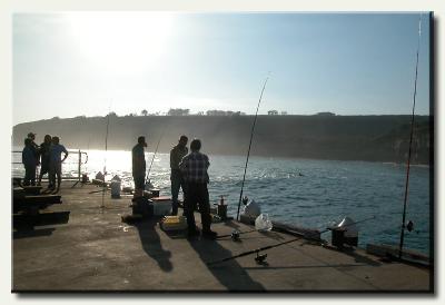 Fishing at Campbell Bay