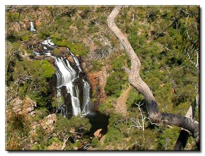 McKenzie Falls