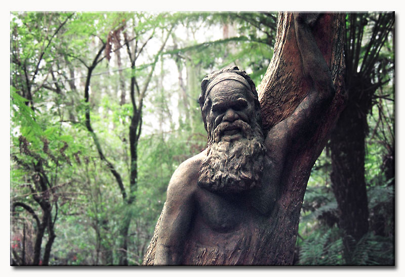 Welcome to Melbourne - William Ricketts Sanctuary