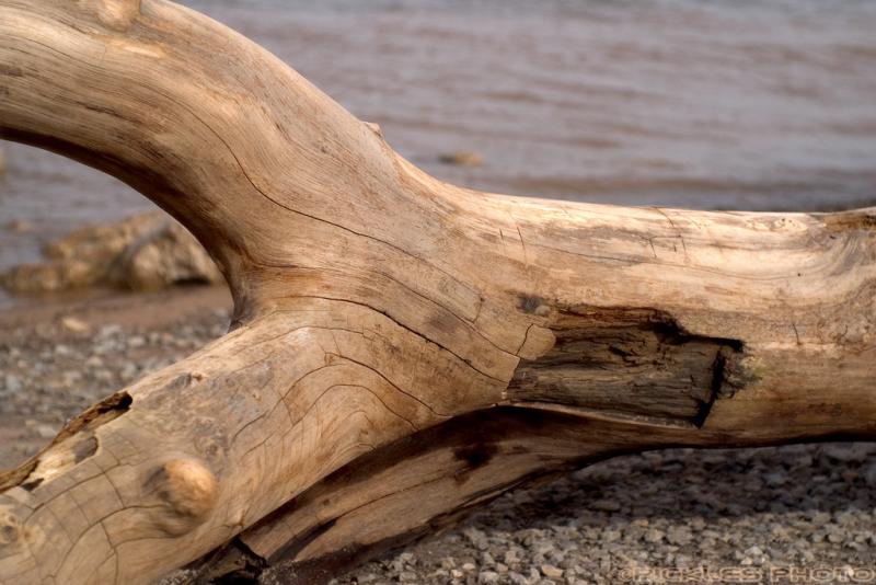 Y Driftwood?