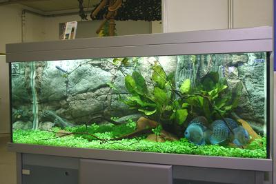 Showtank