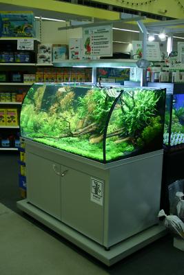 u37/plantella/medium/23853141.TropicaStand01.jpg