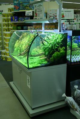 u37/plantella/medium/23853197.TropicaStand07.jpg