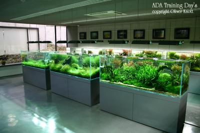 ADA Training Day's - Day 1 -