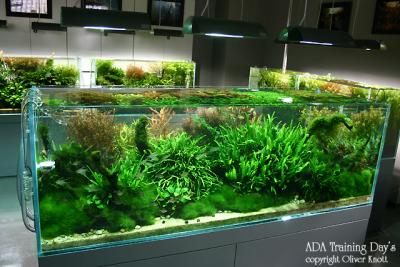 ADA Training Day's - Day 1 -