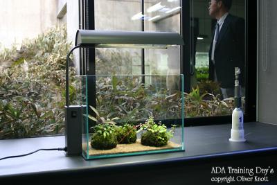 ADA Training Day's - Day 1 -