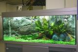 Showtank