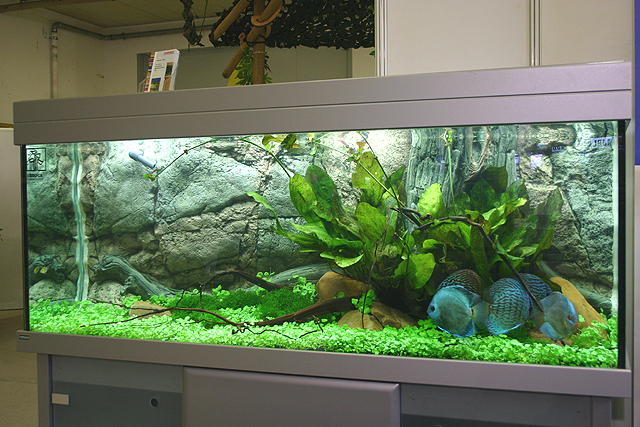 Showtank
