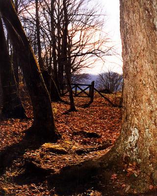 TN Ranch Gate