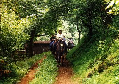 u37/pstewart/medium/23906504.trailride.jpg