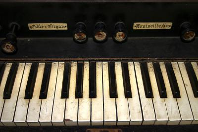adler_organ.jpg