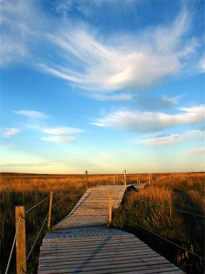 u37/pt_vd/medium/24363990.NearPuntaArenaswalkingintoinfinity.jpg