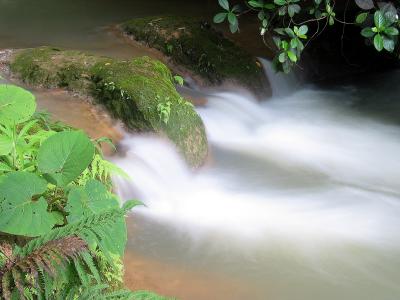 u37/pt_vd/medium/24364969.SlowshuttermexicanAguaAzulwaterfalls2.jpg