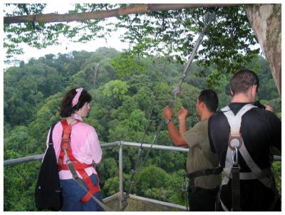 Canopy platform