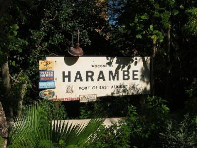 Harambe