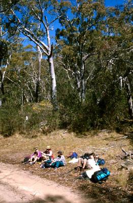 aa Everyone But Ralph At Cotter Gap Track Lunch.JPG