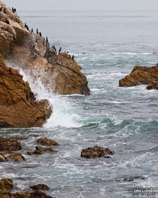 17 Mile Drive - Point Joe