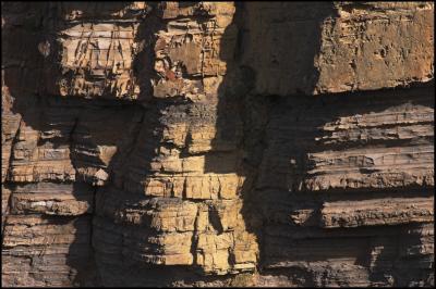 Cliff Detail, Widemouth Bay, Bude