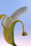 peeled banana portrait.jpg
