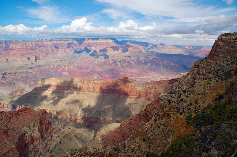 Moran Point View.jpg