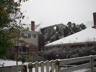 Back of our house, with damaged house to right.