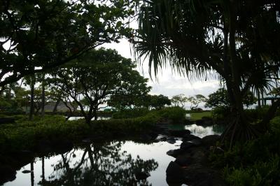 Lagoon at Poipu Hyatt.jpg