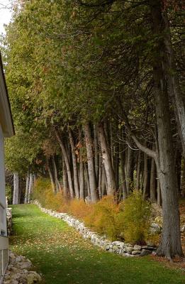 010_6767 Path by house.a.jpg