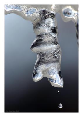 Ice.jpg