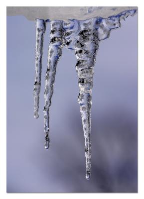 Ice1.jpg